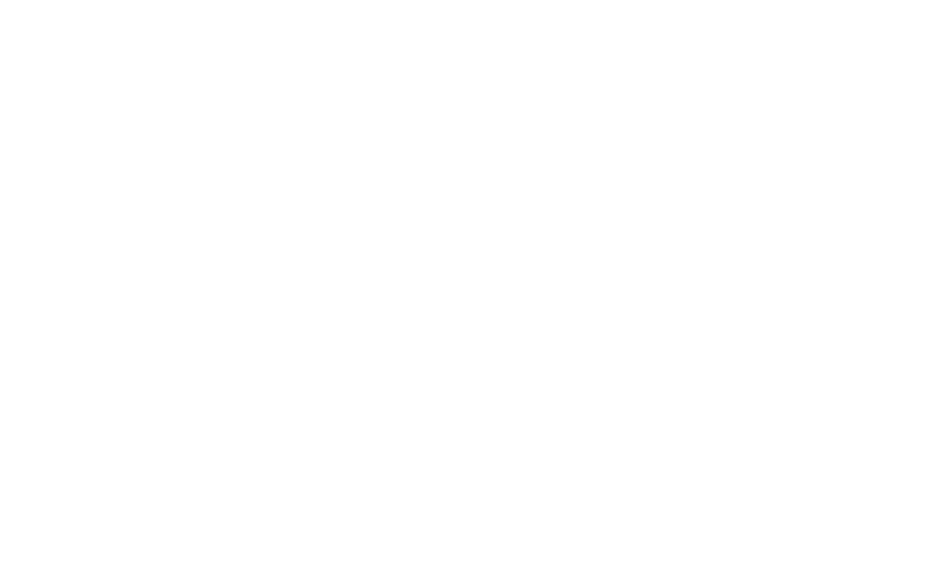 CST_gear_logo